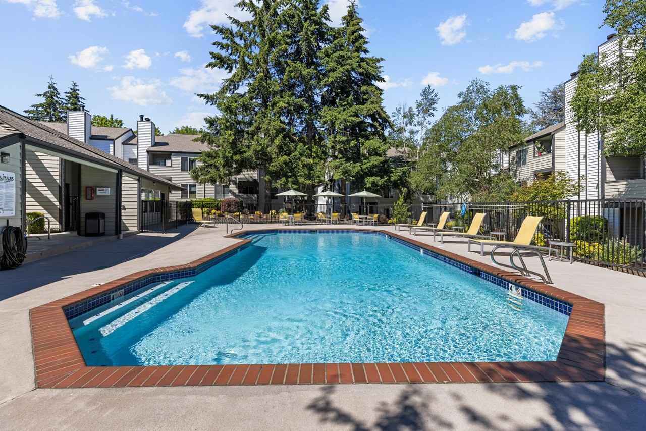 Nickel Creek - Photo 3 of 35