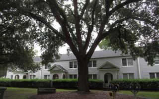 featured image of 20 Warren Ct