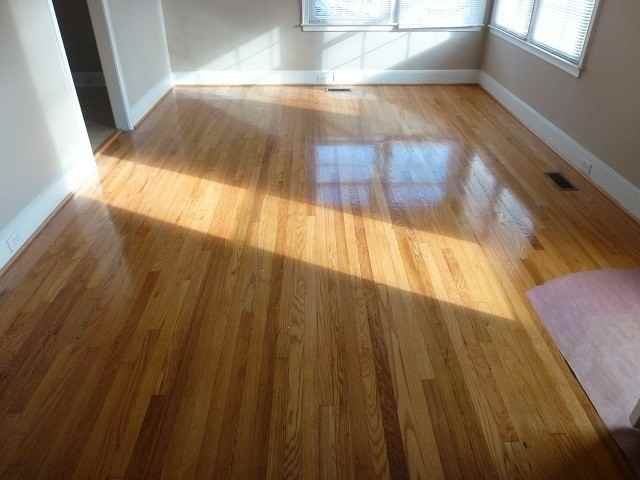 712 Finley Rd - Photo 2 of 8