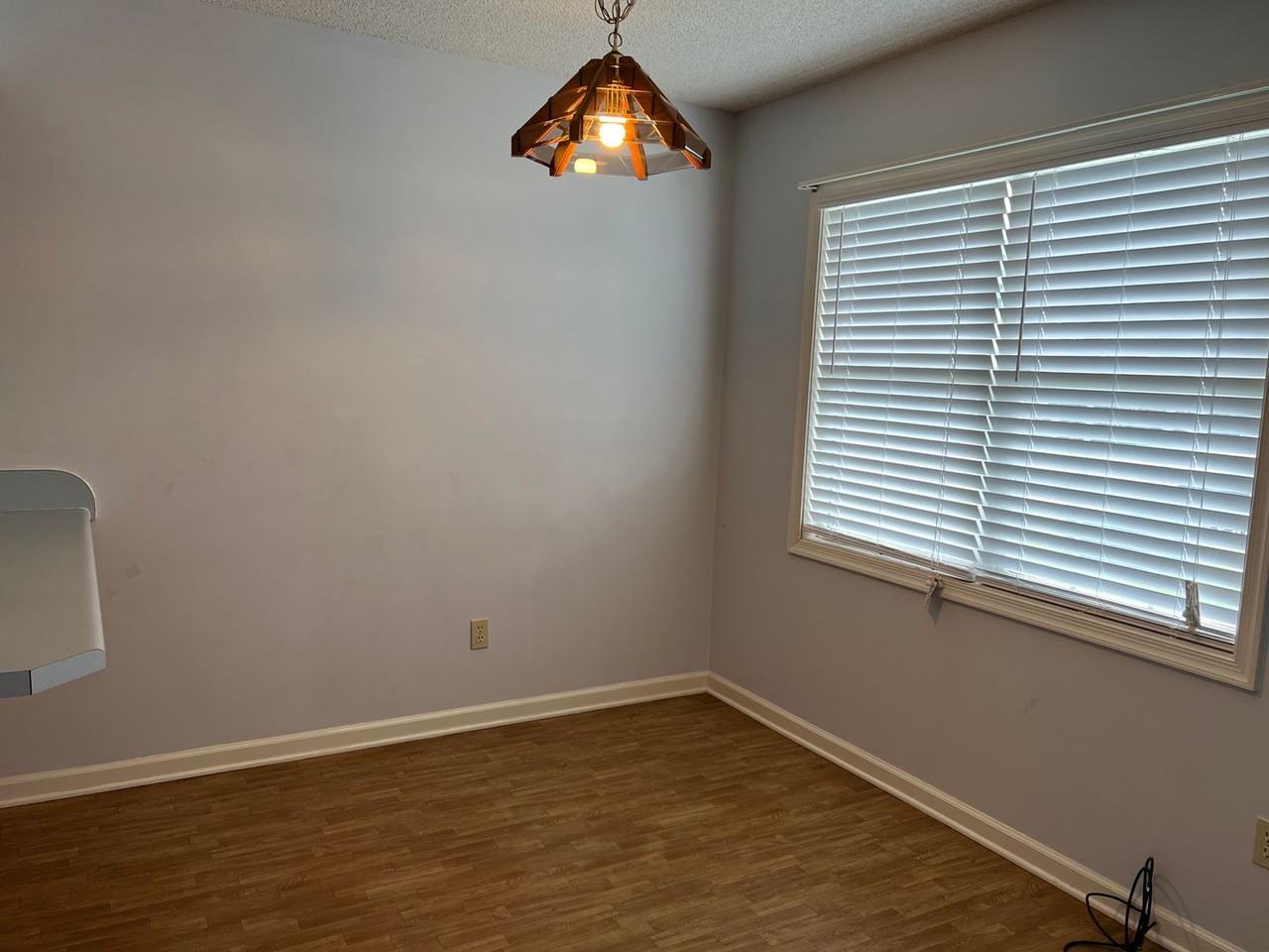 118 Red Cedar Run - Photo 3 of 10