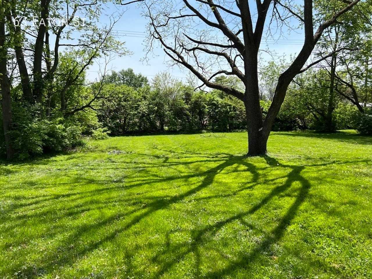 63-65 Eaton Street - Photo 2 of 30