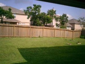 323 Hollow Trl - Photo 7 of 8