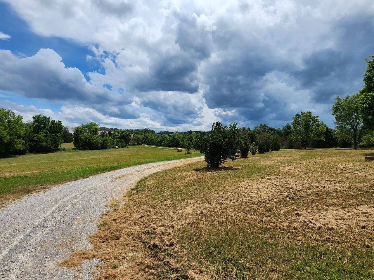 1653 Bear Creek Pike - Photo 4 of 22