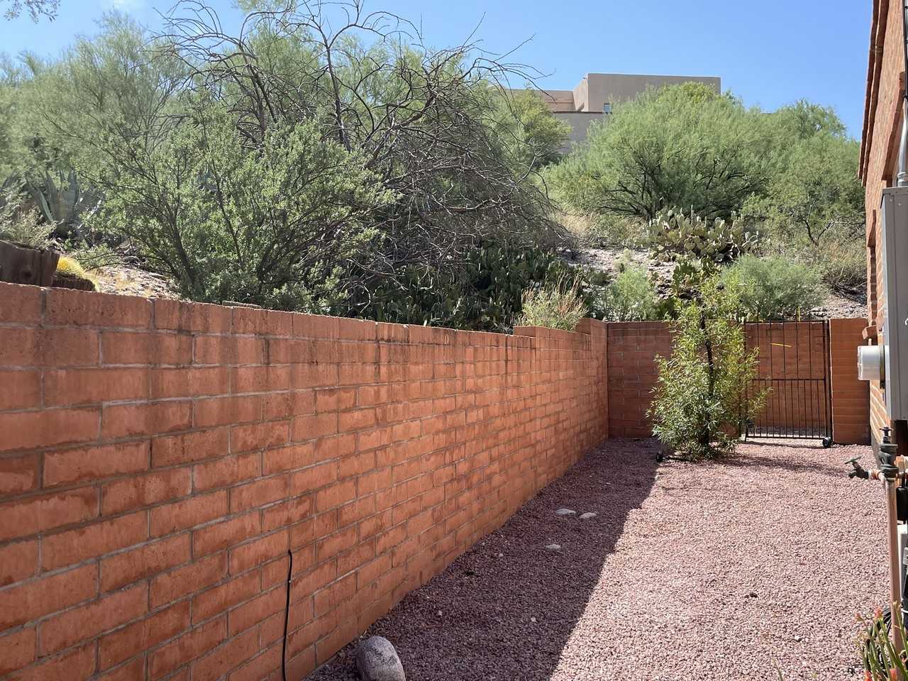 5830 E Calle Del Ciervo - Photo 6 of 50