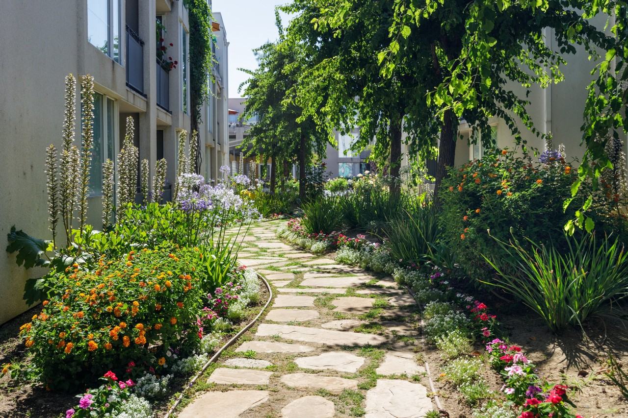 Parc Ridge Apartments - Photo 7 of 18