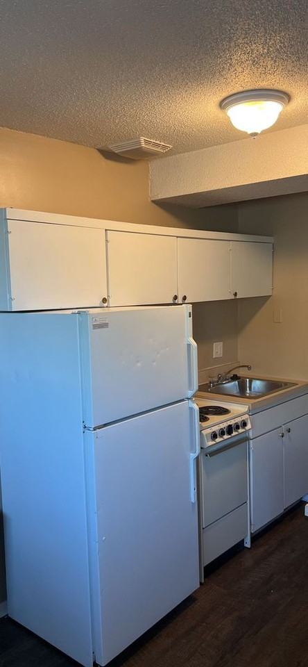 Acorn - Photo 3 of 8