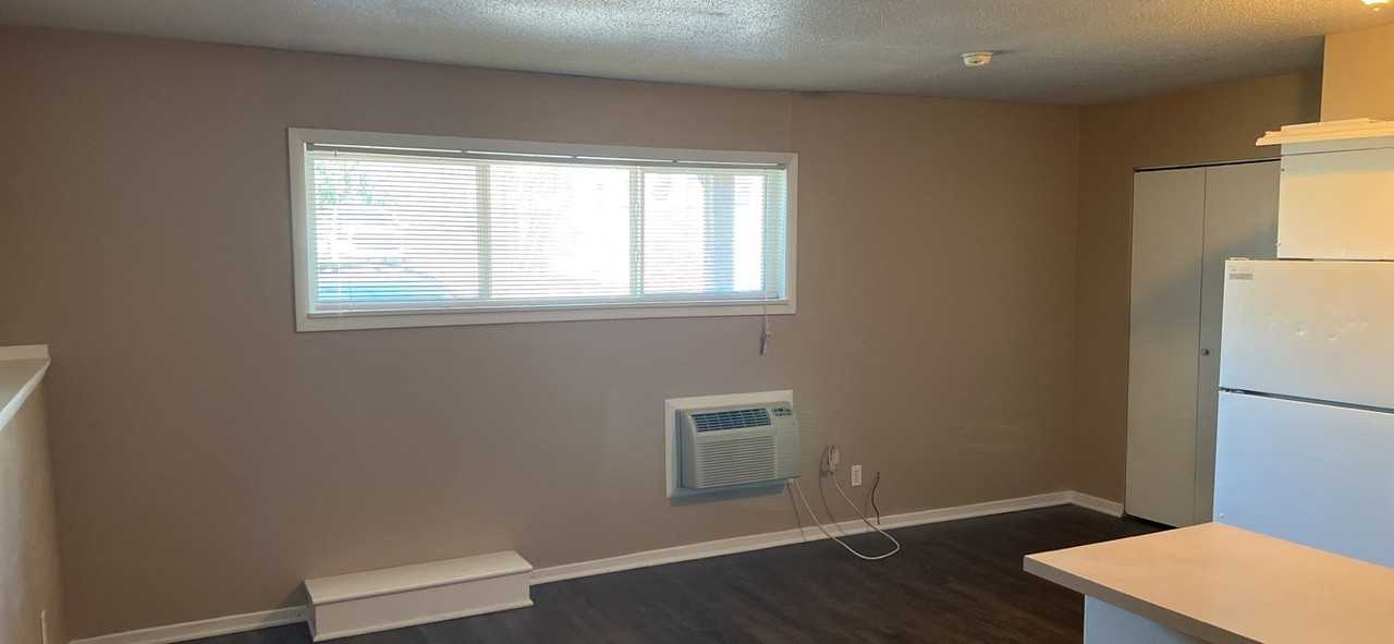 Acorn - Photo 4 of 8