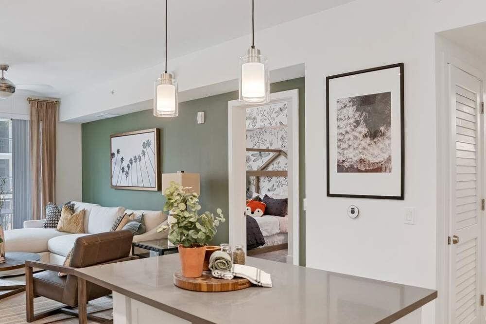 Palmera - Photo 4 of 49