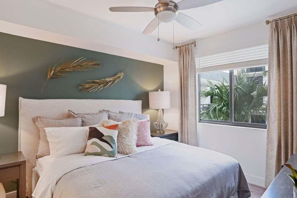 Palmera - Photo 7 of 49