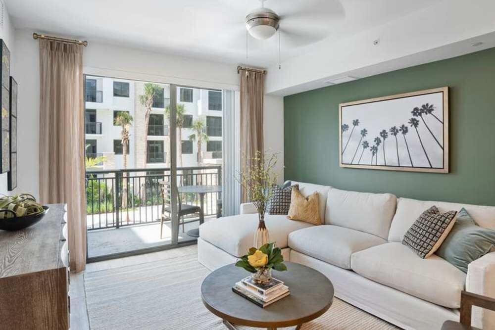 Palmera - Photo 5 of 49