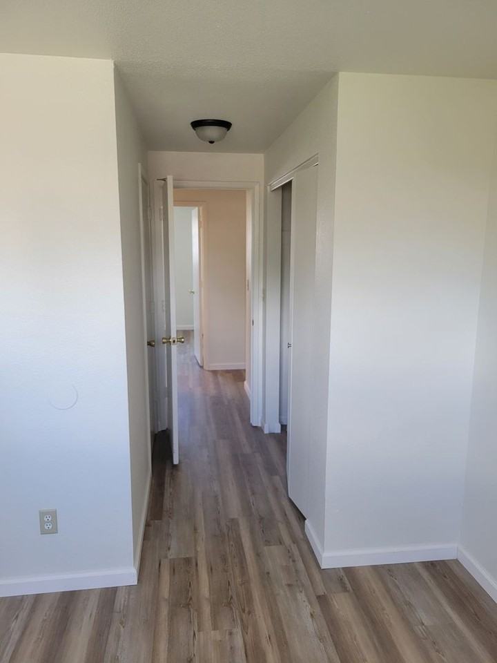 1021 Dolores Ln - Photo 3 of 11