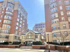 3830 9th St N #105W - Photo 1 of 1