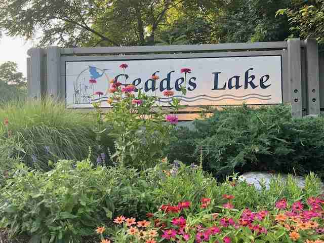 3143 Lake Haven Dr #NA - Photo 3 of 16