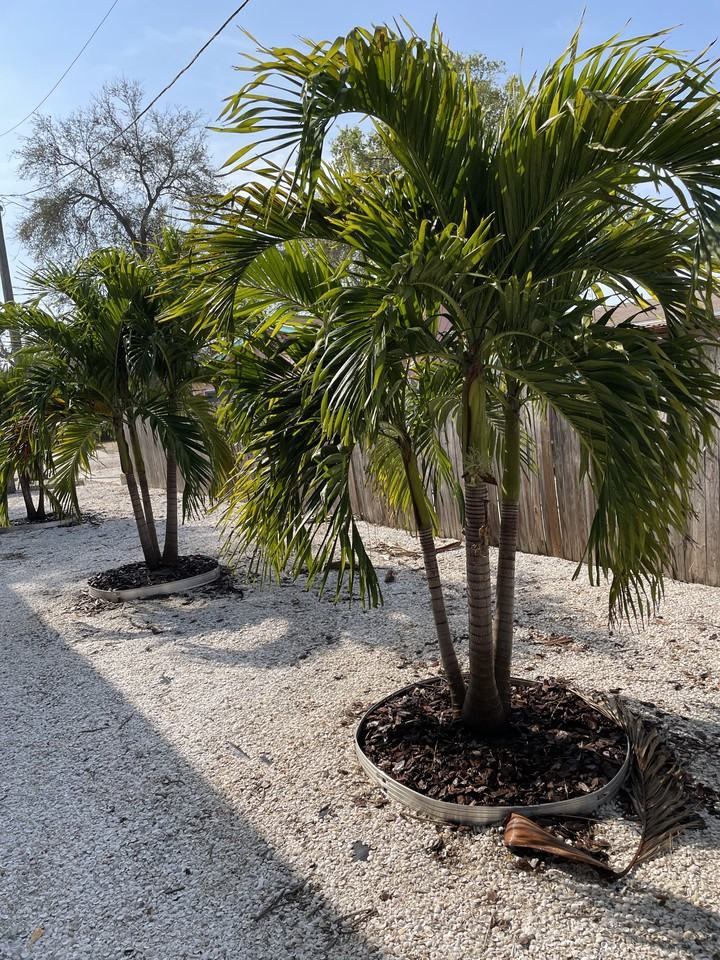 8500 Blind Pass Rd #5 - Photo 4 of 5