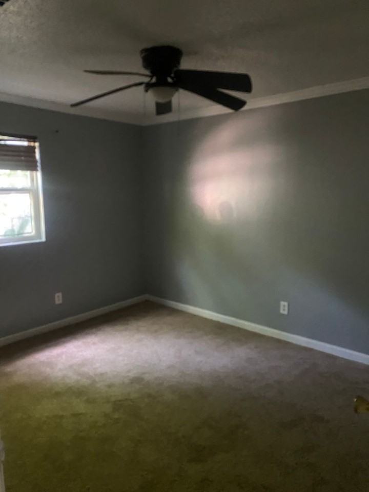 2913 Rebel Dr - Photo 3 of 5