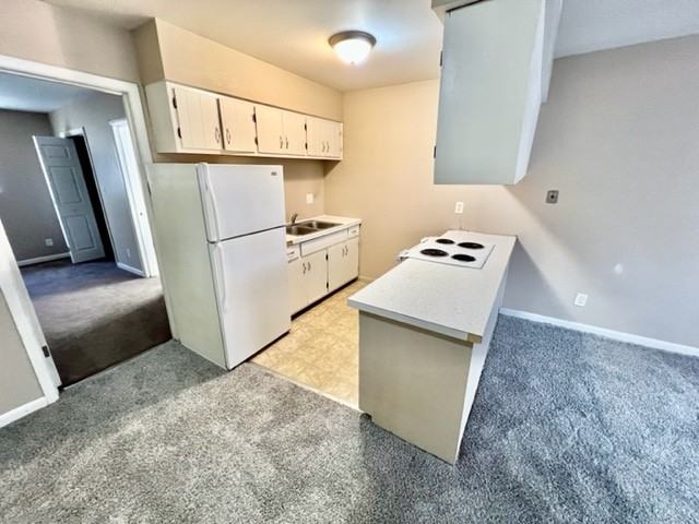 Omega* - Photo 3 of 5