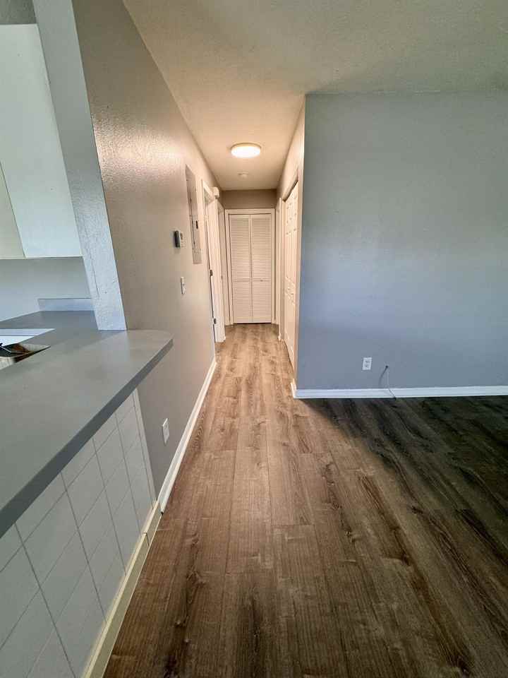 1702 Palmetto Court - Photo 3 of 45