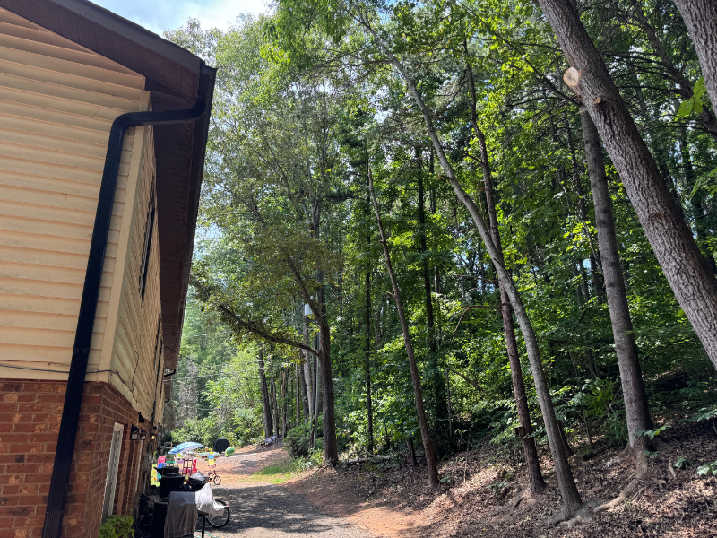 147 Woodland Dr #7 - Photo 4 of 16