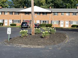 featured image of 7155 Hart St