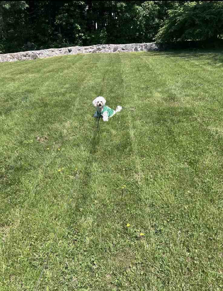 1 Noyes Rd #NA - Photo 3 of 50