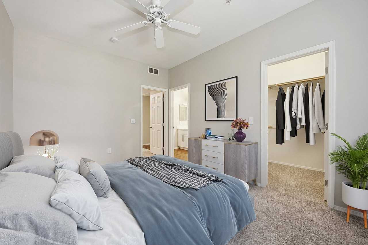 Andante Apartments - Photo 6 of 20