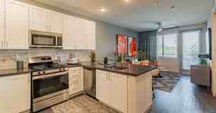 Buffalo at Desert Shores - Photo 1 of 1