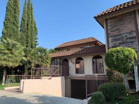 wil520 - Photo 1 of 1