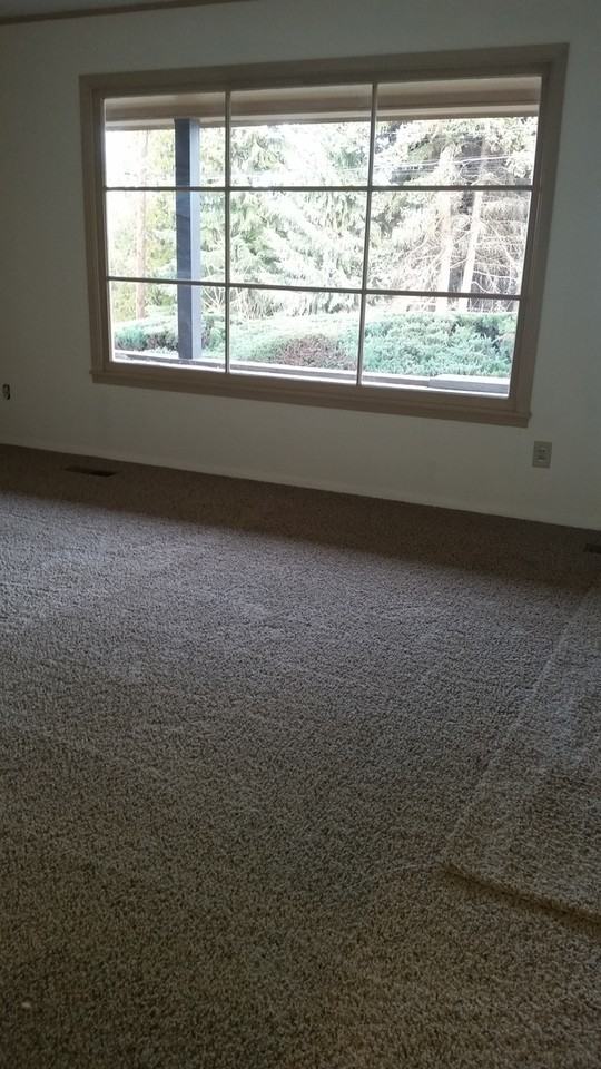 712 S 20th Ave - Photo 3 of 29