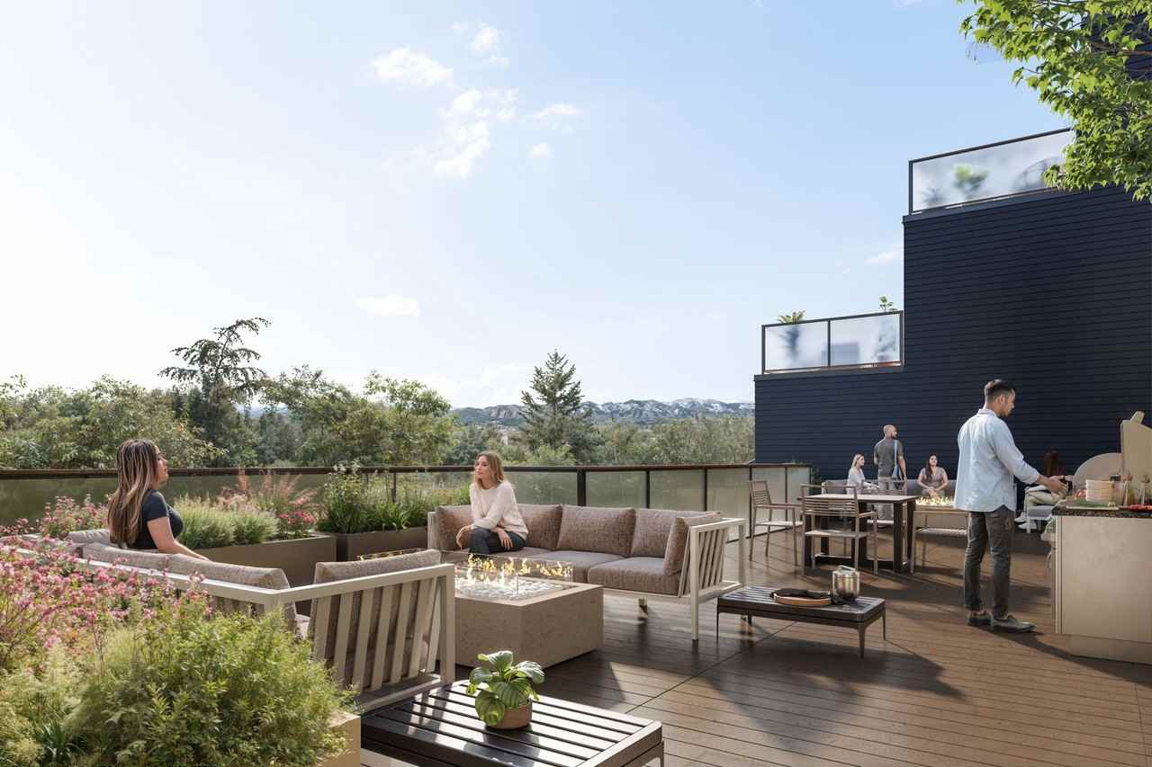 The Ives - Photo 5 of 50