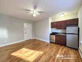 4546 North Damen Avenue #CL305 - Photo 1 of 1