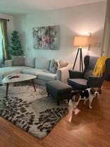 365 Ginger Drive - Photo 1 of 1