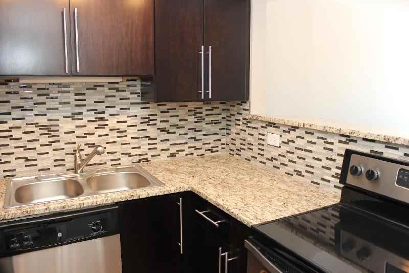 441 East Erie Street - Photo 3 of 101