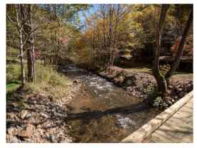 10383 Big Laurel Rd - Photo 1 of 1
