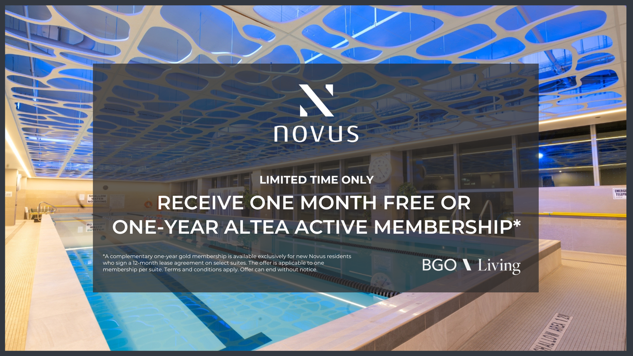 Apartments for Rent in Liberty Village, Toronto, ON 25 Rentals Zumper