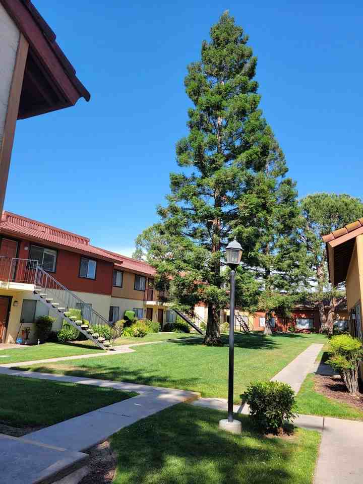 Sunburst Apartments - Photo 6 of 19