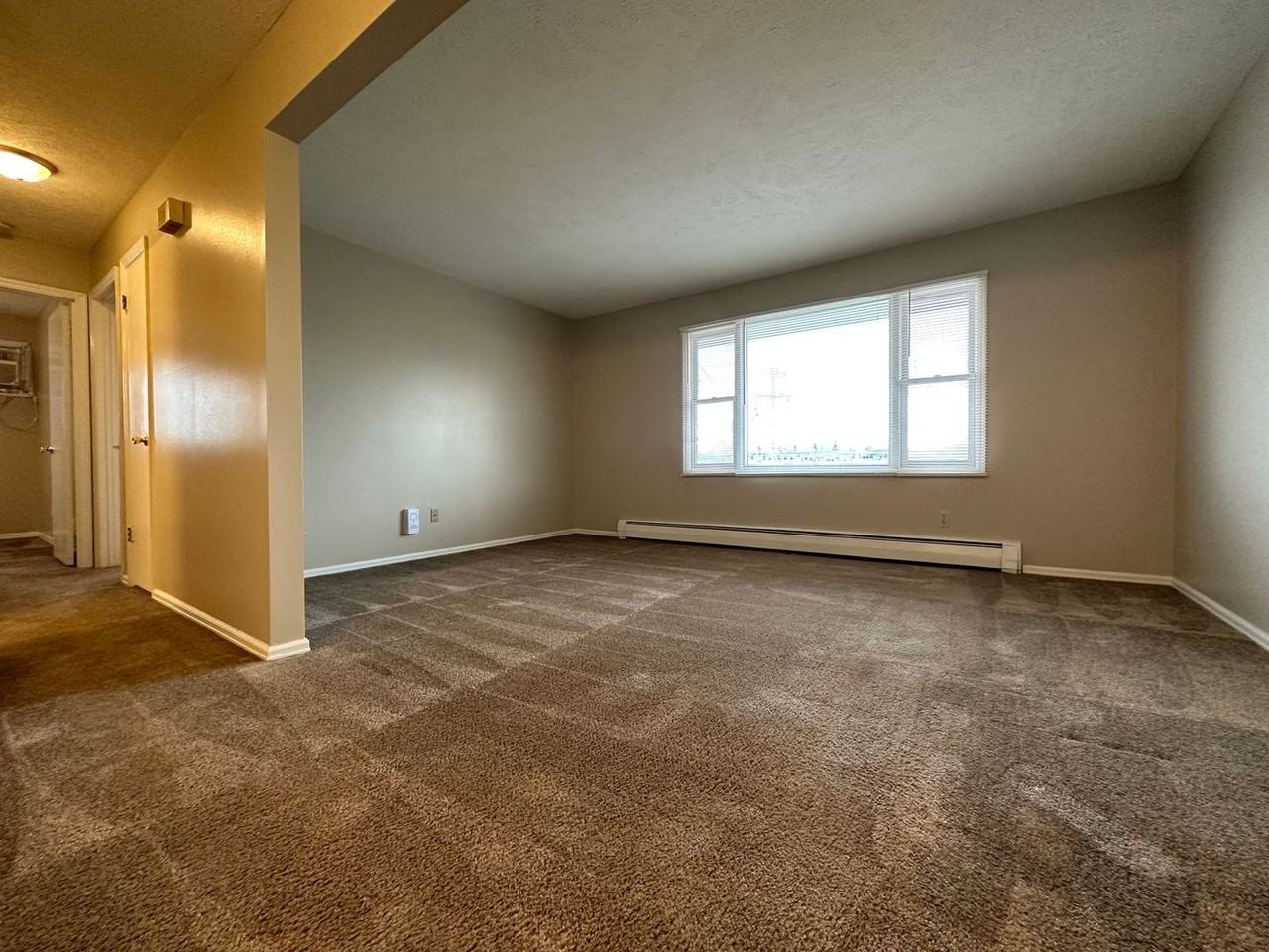 339 Riley Drive - Photo 3 of 12