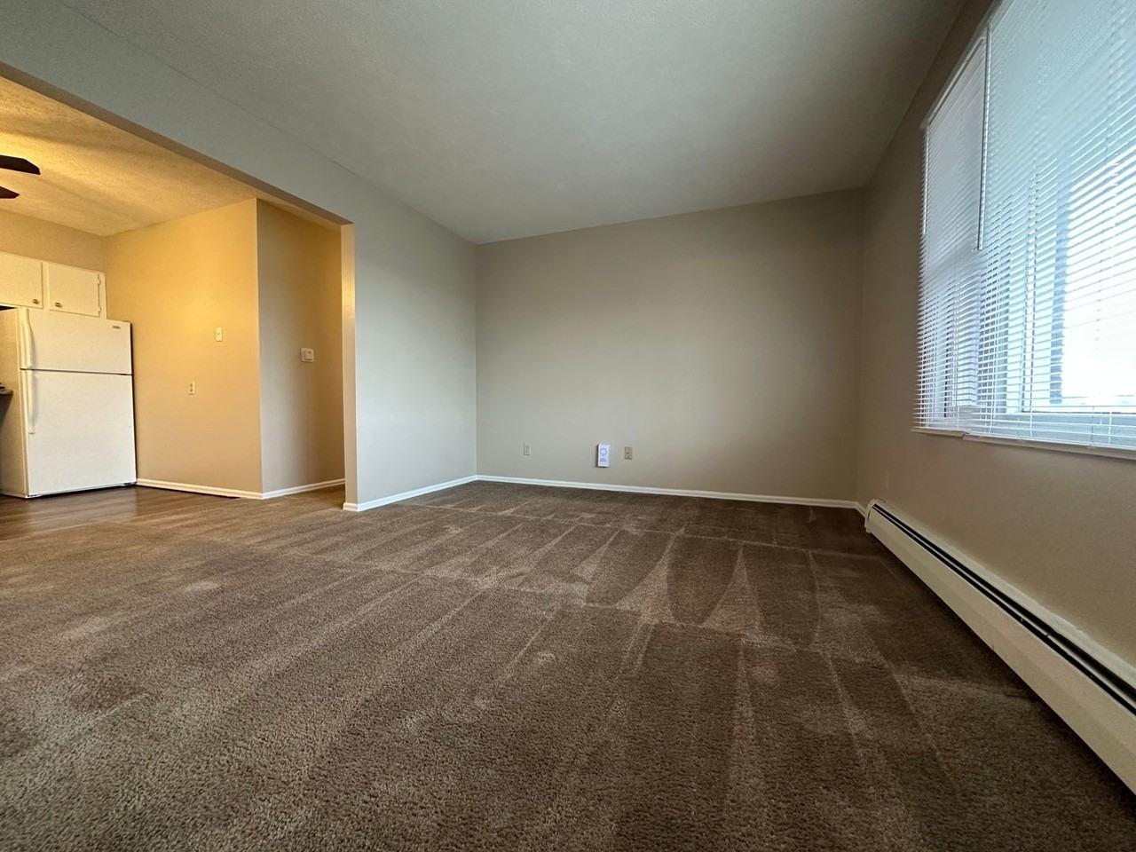 339 Riley Drive - Photo 4 of 12