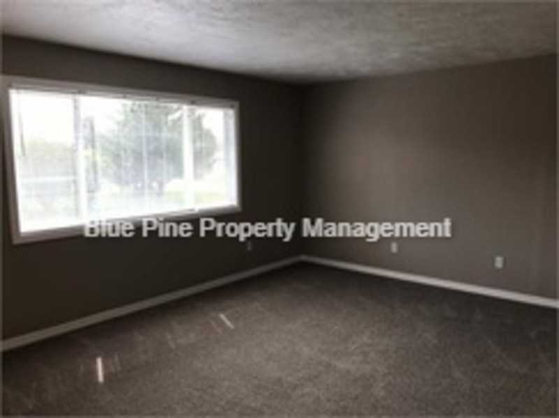 465 Lyn Ave - Photo 5 of 19