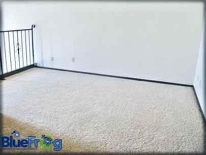 2350-2354 Canter Lane - Photo 3 of 20