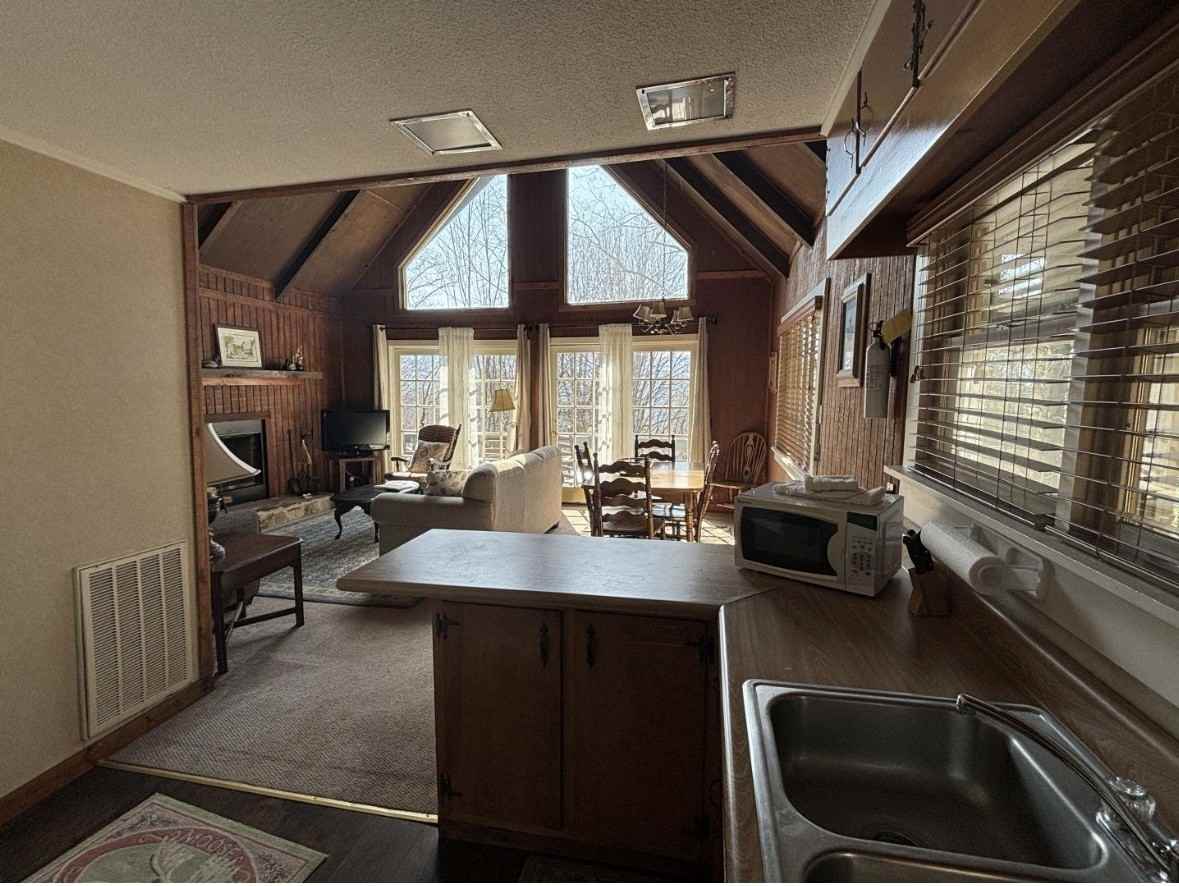 490 Chalet Village Ln #NA - Photo 4 of 13