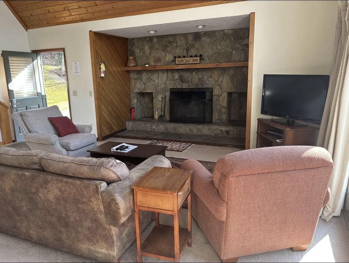 417 Chalet Village Ln #NA - Photo 3 of 13