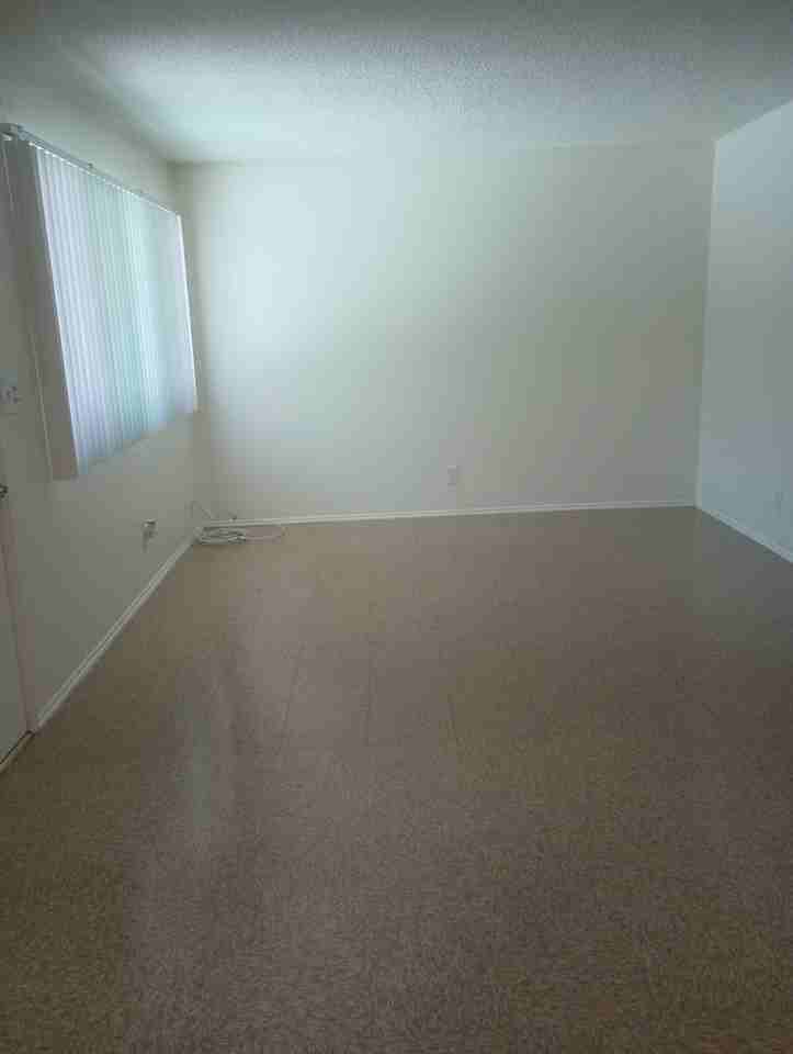 BSM Management - Photo 7 of 21