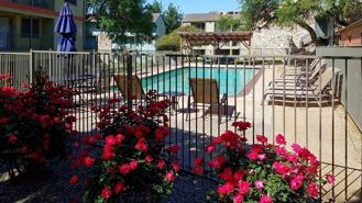 Oaks Apartments - Photo 1 of 1