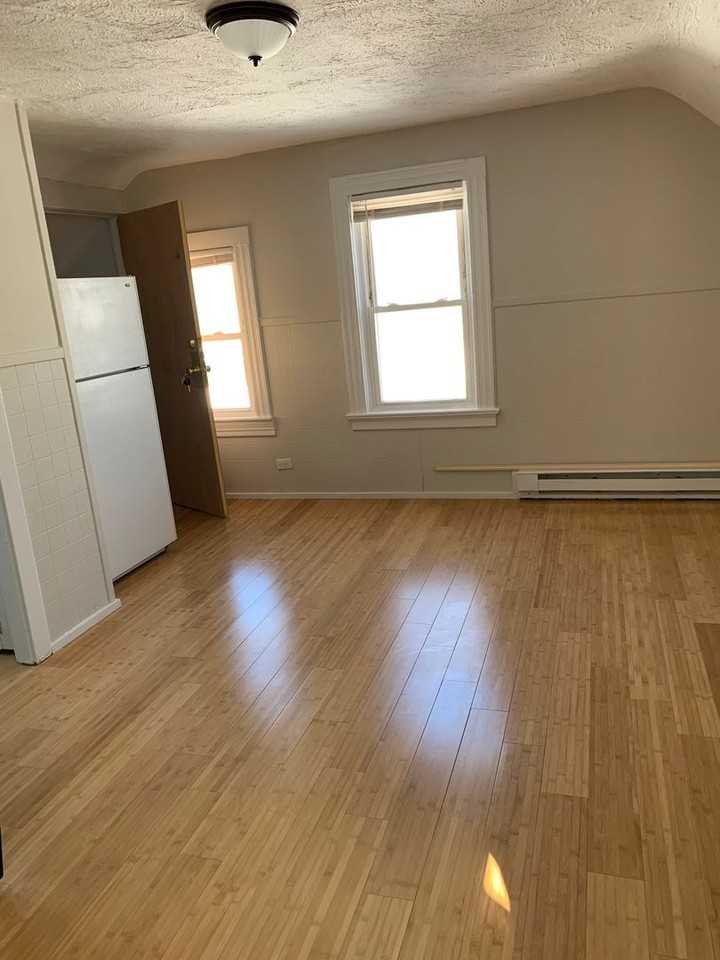 Carter - Photo 2 of 15