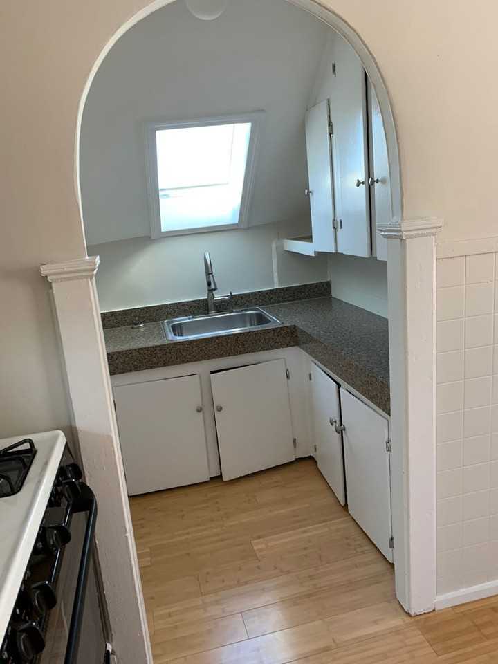 Carter - Photo 3 of 15