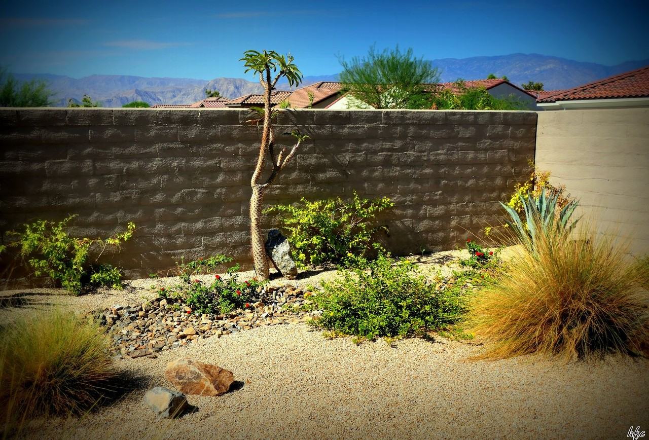 11 Vintage - Photo 7 of 22