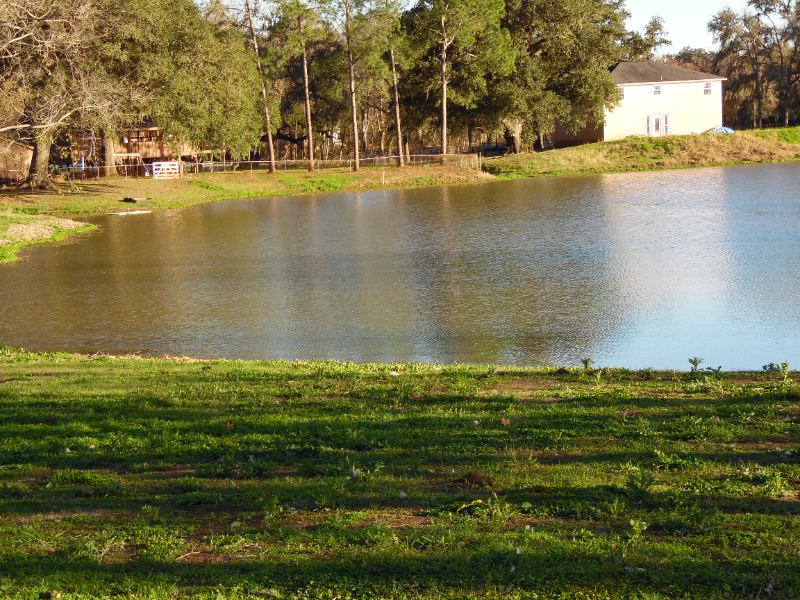 107 Spur - Photo 6 of 24