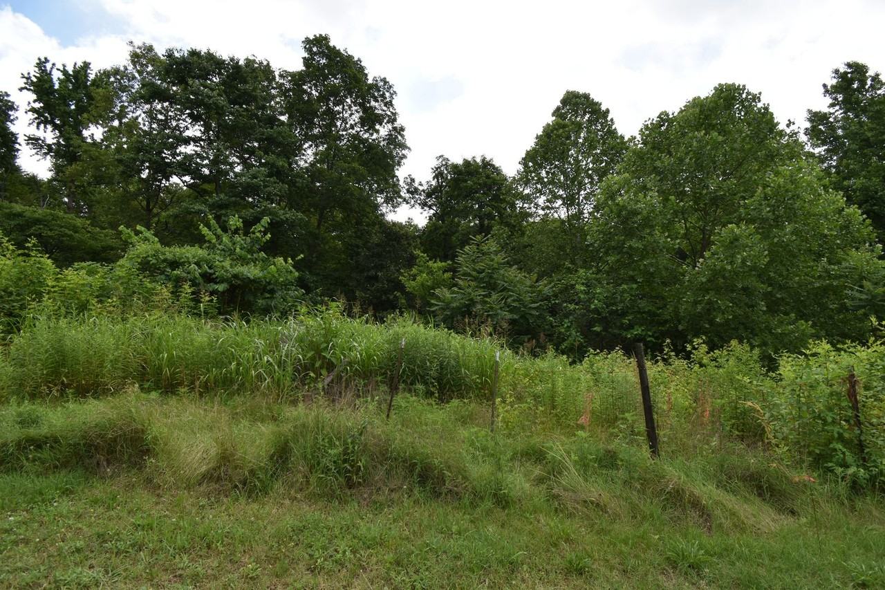 2153 Broome Rd - Photo 4 of 7