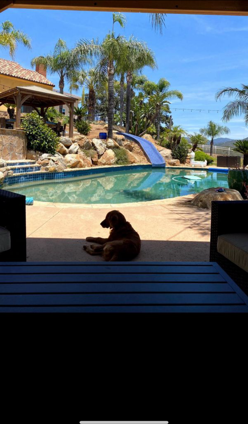 2875 Conestoga Cir - Photo 2 of 4