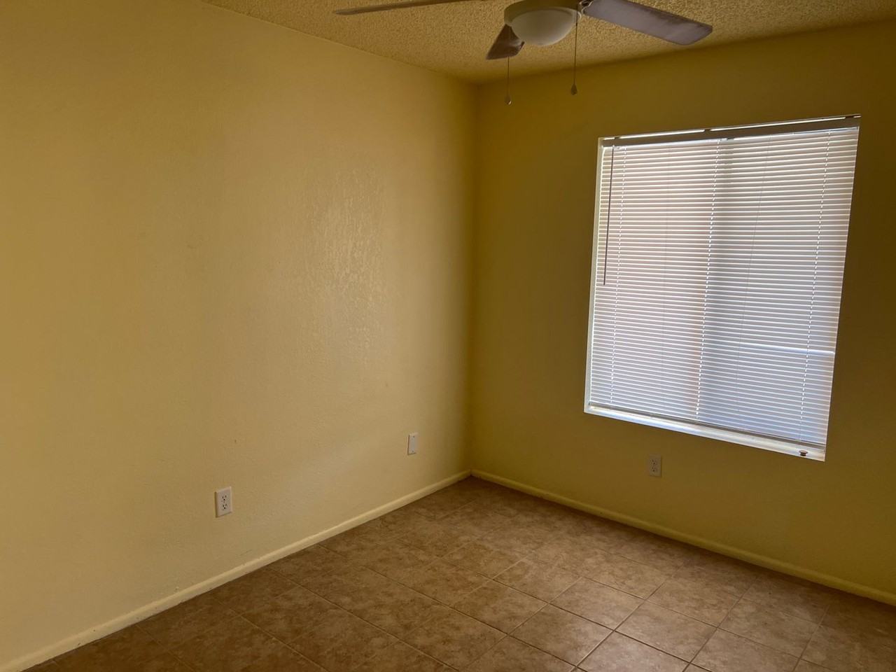 2155 S 14th Ave #31 - Photo 6 of 16